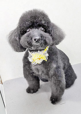 上村エイトちゃん