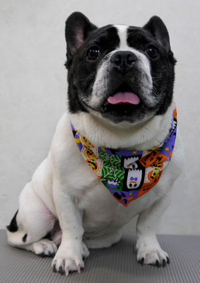 池田ゲンタちゃん