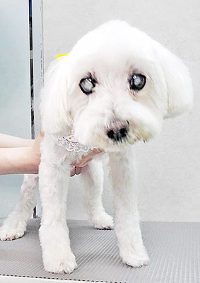 山口ふうたちゃん