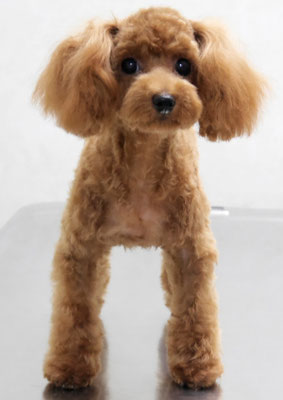 森崎ネネちゃん