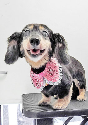 谷口チョコちゃん