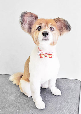 玉利ゆずちゃん