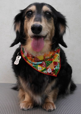 湯田モモちゃん