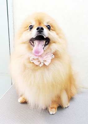 大井ポンタちゃん