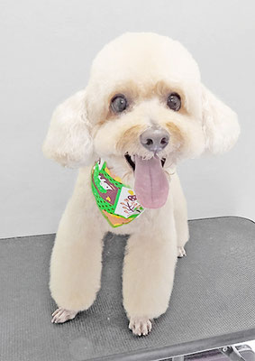 松田めろんちゃん