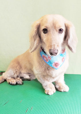 片山マルルちゃん