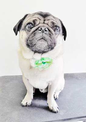 田邊ギンちゃん