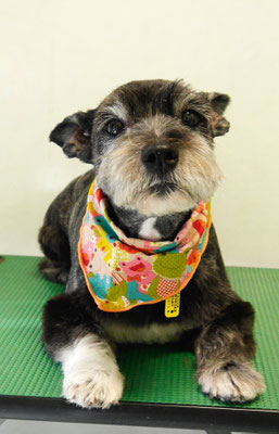 蔵薗ヒメちゃん