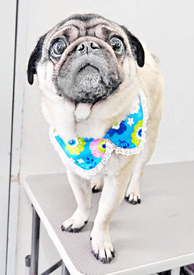 田邊ギンちゃん