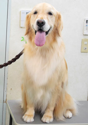 美代ジューンちゃん