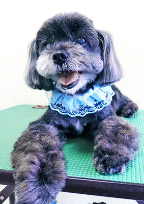 八郷ベンちゃん