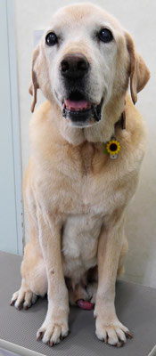 平松マックスちゃん