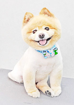 中間コジロウちゃん