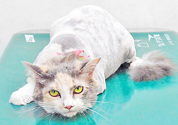 福重みいちゃん