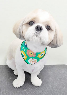 榊原もちちゃん