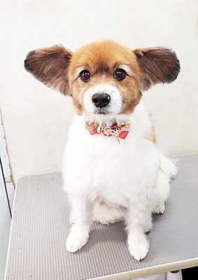 玉利ゆずちゃん