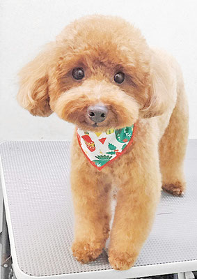 吉村弦之介ちゃん