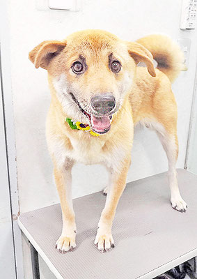 水口ラッキーちゃん