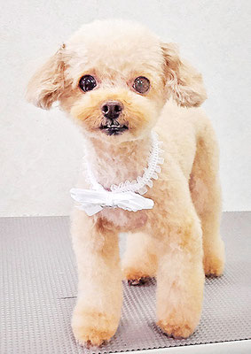 辻チロルちゃん