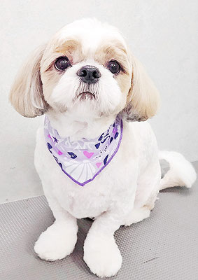 榊原もちちゃん