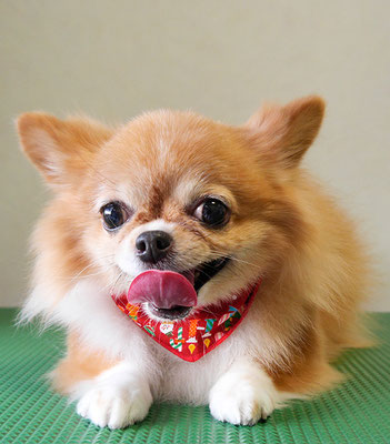 川田オカンちゃん