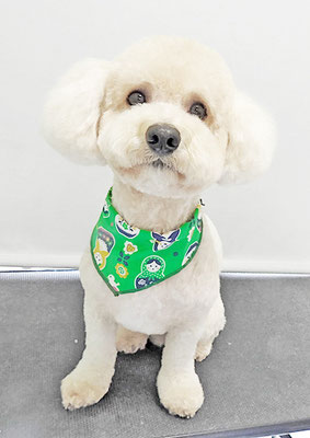 有村ルークちゃん