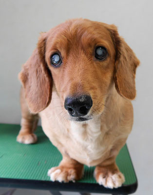 上野モンタちゃん