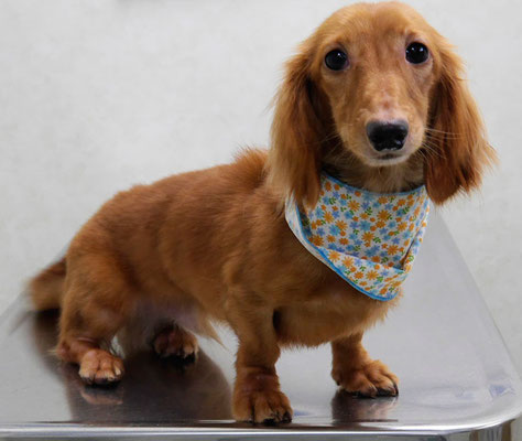 石守ユウキちゃん