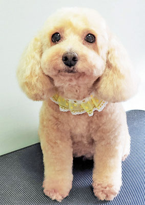 長谷ネネちゃん