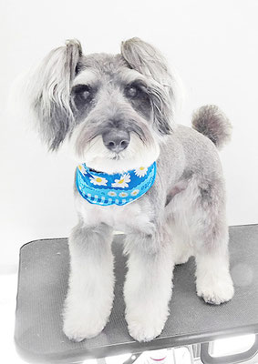 糸山そらちゃん