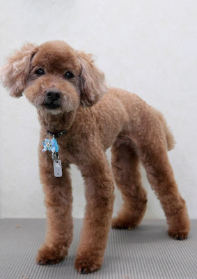 米澤ミントちゃん