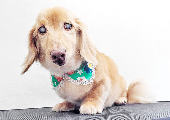 前薗パルちゃん