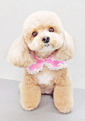 丸山小琴ちゃん