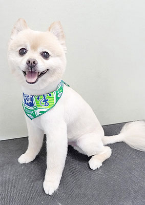 徳留クマちゃん