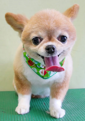 川田オカンちゃん