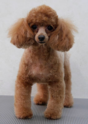 森崎ネネちゃん