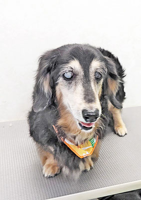 湯田モモちゃん