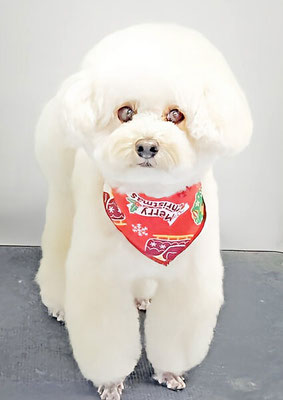 山村レオンちゃん