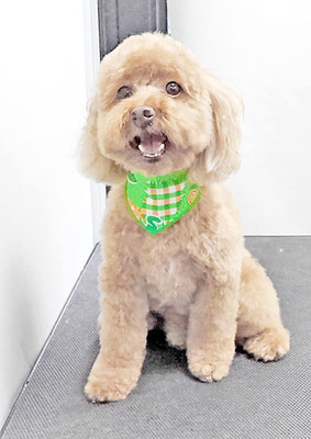 時任はるちゃん