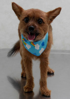 助村ルウちゃん