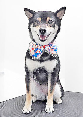 西元風子ちゃん