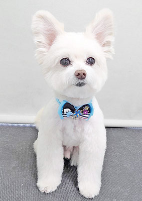 中村ココちゃん