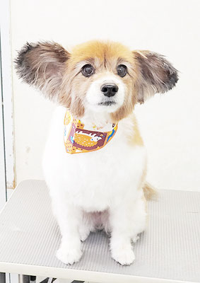 玉利ゆずちゃん