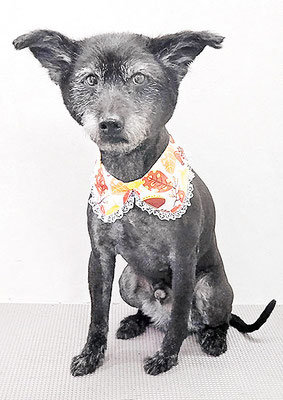 中田タロウちゃん