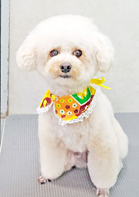 山村レオンちゃん