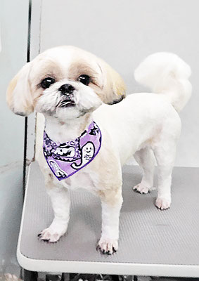 柳田モカちゃん