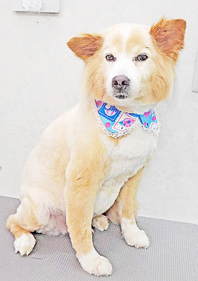 田崎くじらちゃん