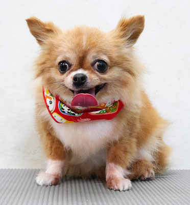 川田オカンちゃん