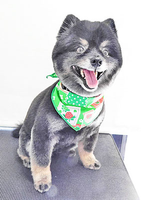 福山ポパイちゃん