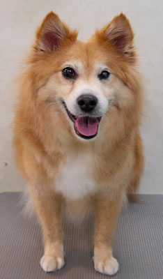 村松ゴンちゃん